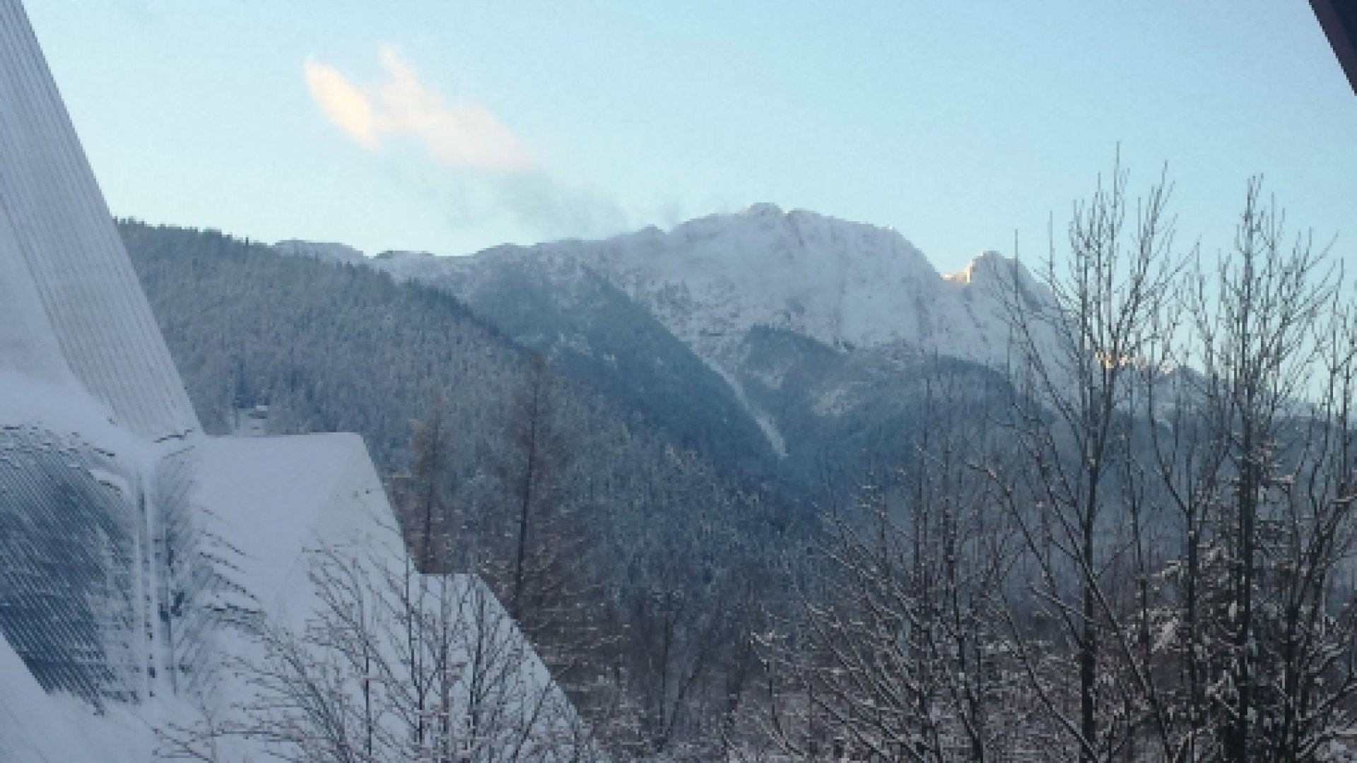 NEBBIA image 14