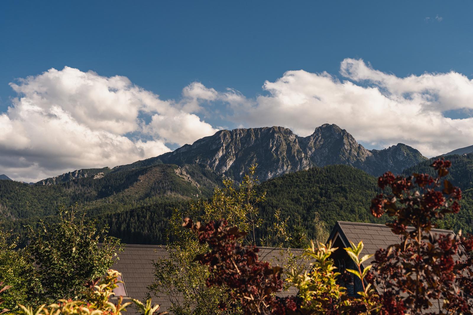 MONTES image 37