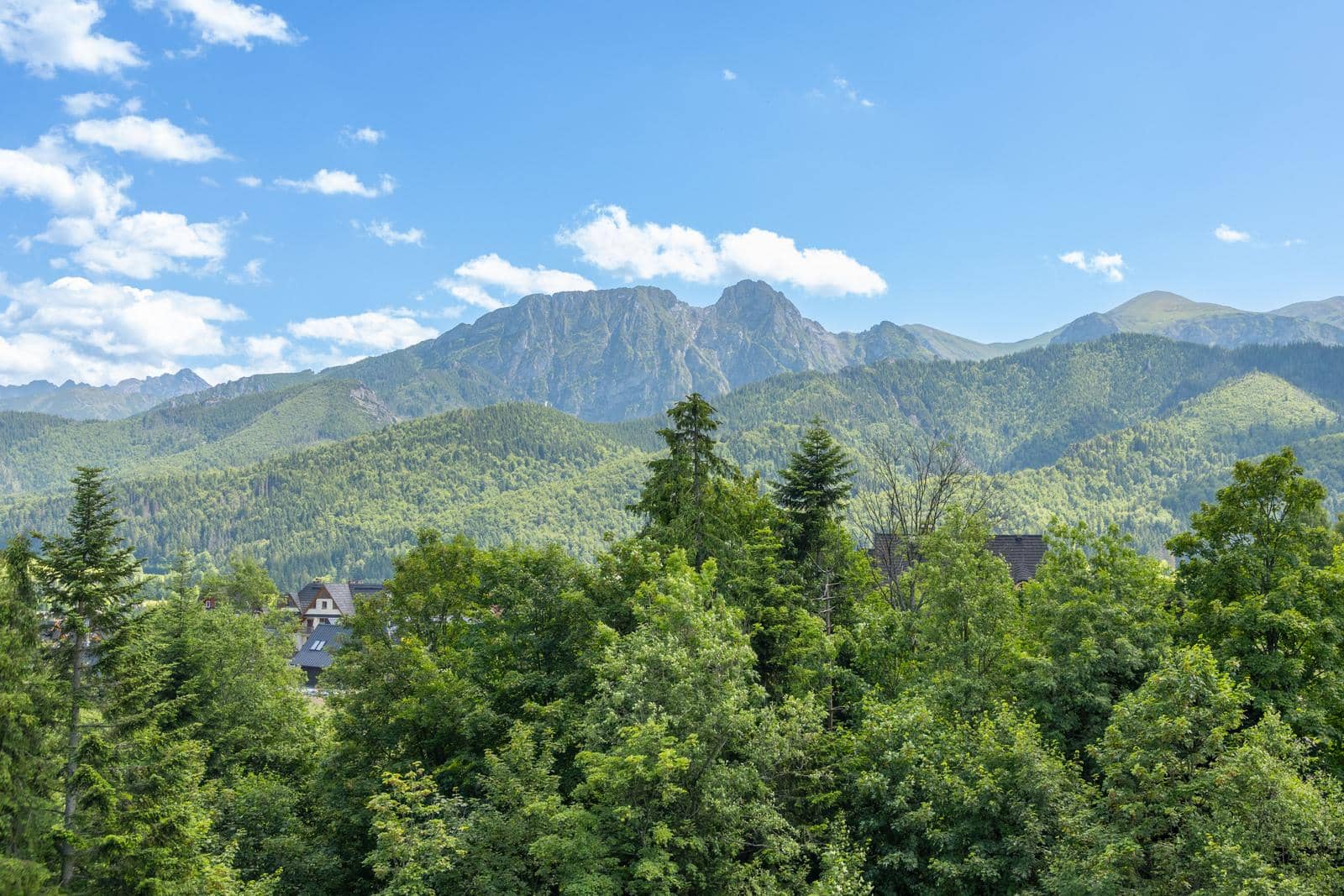 SIELANKOWY image 19
