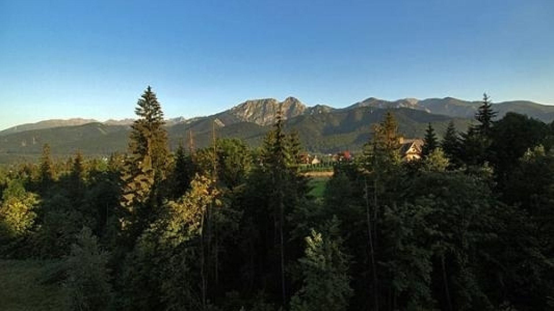 SKALSKI image 11